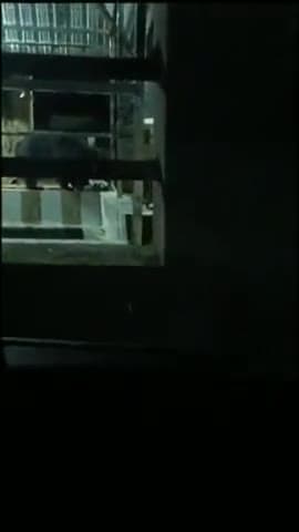 कांकेर: कांकेर शहर के एकता नगर ठेलकाबोर्ड स्थित रामेश्वर महादेव मंदिर में देर रात पहुंच भालू