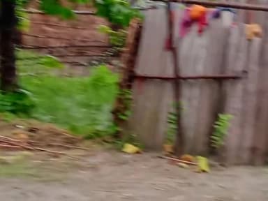 निर्मली: dighiya #barishkamausam #badhtabihar