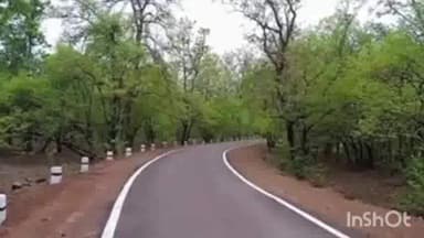 गुरूर: गुरुर ब्लॉक के ग्राम खैरडिगी -बिच्छिबाहरा के पास जंगल में दिखा दंतैल हाथी ,10 से अधिक ग्राम रखे गए अलर्ट पर