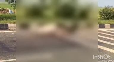 एटा: गांव पुराव के सामने हाईवे पर अज्ञात वाहन की टक्कर लगने से दो गायों की हुई मौत गायों के शवों को खा रहे कुत्ते नोचनोच कर