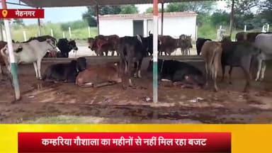 मेहनगर: कम्हरिया गौशाला को महीनों से नहीं मिल रहा बजट, देखभाल में आ रही है समस्या व तड़प कर मर रहे हैं गोवंश: प्रधान प्रतिनिधि
