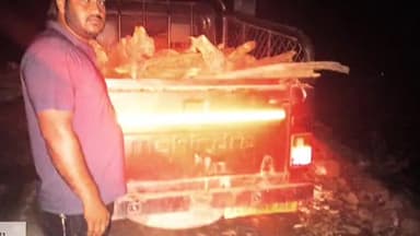 मोरनी: वन विभाग की टीम ने खेड़ाबागड़ थापली रोड से पकड़ी पिकअप गाड़ी, खैर व अन्य लकड़ी बरामद
