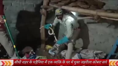 गोपद बनास: पडेनिया में एक व्यक्ति के घर में घुसा ज़हरीला कोबरा सांप, वन विभाग की टीम ने रेस्क्यू कर जंगल में छोड़ा