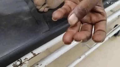 अम्बाला: गांव सढौरा में सांप के काटने से घायल हुआ व्यक्ति, इलाज के लिए लाया गया शहर के सिविल अस्पताल