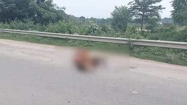 सिमडेगा: सिमडेगा समाहरणालय के पास मवेशी को रौंद कर भाग रहे ट्रक चालक को ग्रामीणों ने पकड़ा, जमकर की पिटाई, पुलिस ने किया बीच बचाव