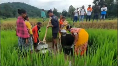 कांकेर: नीलेगोंदी में पानी की समस्या से ग्रामीण परेशान, खेत में बने कुंड का पानी पीने को मजबूर