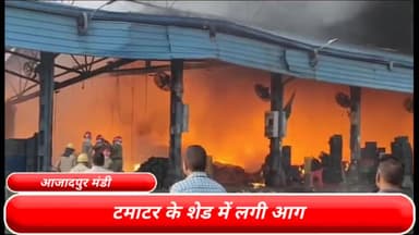 मॉडल टाऊन: राजधानी दिल्ली की आजादपुर मंडी में टमाटर के शेड में लगी भीषण आग, दमकल की करीब 11 गाड़ियों ने आग पर पाया काबू