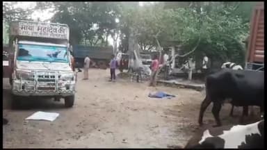 बिरनी: बिरनी पुलिस ने दो पिकअप वैन में 11 गाय व 5 बछड़े समेत 6 गौ तस्करों को बरमसिया चौक से पकड़ा