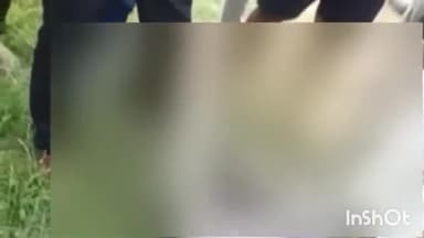 मांट: 28सितम्बर को यमुना एक्सप्रेस वे पर सुरीर क्षेत्र में मिले शव कि शिनाख्त न होने पर  ने लिया सोशल मिडिया का सहारा