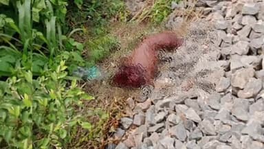 रफीगंज: कड़सारा रेलवे गुमटी के पास एक व्यक्ति का मिला था शव, 24 घंटे बाद हुई पहचान
