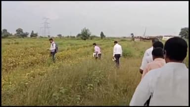 समुद्रपूर: शिवणफळ येथे पावसामुळे खराब झालेल्या सोयाबीन पिकाची विभागीय कृषी सहसंचालकांकडून पाहणी: शेतकऱ्यांनी मांडल्या व्यथा