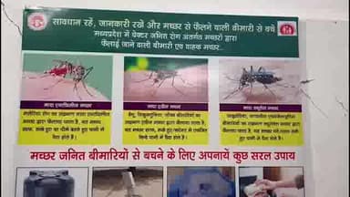 पन्ना: नगर में मलेरिया विभाग के रिकॉर्ड में अब तक 21 डेंगू के पॉजिटिव मरीज मिले, मलेरिया अधिकारी ने दी जानकारी