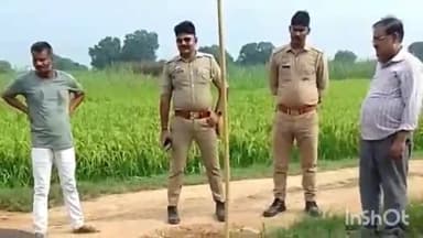 चायल: सैयद सरावा गांव में 11000 की हाई टेंशन तार भैंस पर गिरने से भैंस की हुई मौत, बाल-बचे लोग