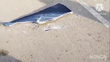 पीपलदा: इटावा क्षेत्र की माखीदा चंबल नदी की पुलिया पर अज्ञात वाहन की टक्कर से बाइक चालक की मौत एक घायल