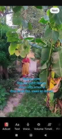 #news पितृ पक्ष आरम्भ, सिद्ध पीठ पुश्तैनी शिवालय अंदोसर मंदिर कांधला में तिल, शक्कर का जलार्पण #हर_हर_महादेव #चलो_अंदोसर