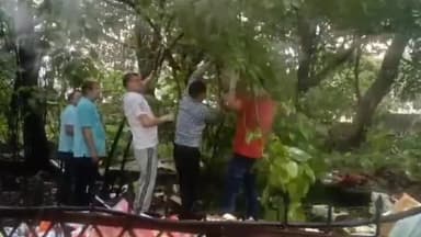 कांके: रांची स्थित समाहरणालय परिसर में चलाया गया स्वच्छता अभियान, अधिकारियों और कर्मियों ने किया श्रमदान