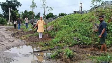 सिंगरौली: महात्मा गांधी की जयंती पर कांग्रेस प्रदेश सचिव ने बैढ़न में किया वृक्षारोपण, कई कांग्रेस कार्यकर्ता रहे मौजूद