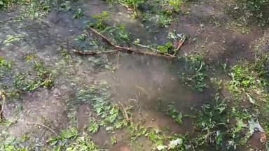 पिड़ावा: पिड़ावा सीनियर सेकेंडरी स्कूल के मैदान में जलदाय विभाग की पाइपलाइन हुई लीकेज, बड़ी मात्रा में व्यर्थ बह गया पानी