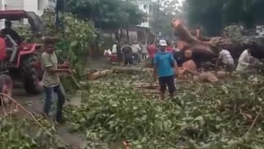 कांके: रांची के करम टोली चौक के पास विशालकाय पेड़ गिरा, किसी के हताहत होने की खबर नहीं