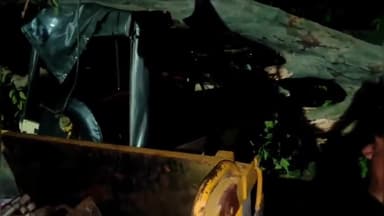 सागर नगर: सिविल लाइन-मकरोनिया मार्ग कठवा पुल के पास सड़क पर गिरा पेड़, हादसे में 3 वाहन हुए क्षतिग्रस्त