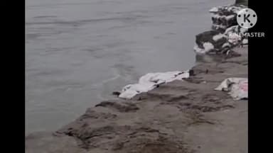 बगहा: बगहा में गंडक के कटाव से सहमे लोग प्रशासन अलर्ट