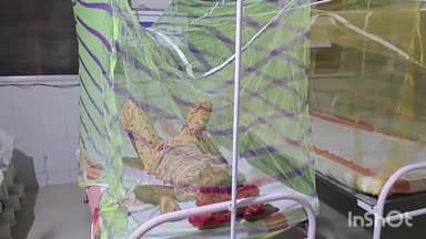 जमुई: बलजौरा गांव में डेंगू की शिकायत पर युवती को सदर अस्पताल के डेंगू वार्ड में कराया गया भर्ती,चल रहा इलाज