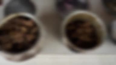 कटंगी: ग्राम चांदाडोह से वन्य प्राणी जंगली सूअर के पके हुए मांस के साथ 3 अपराधियों की हुई गिरफ्तारी, 3 अपराधी हैं फरार