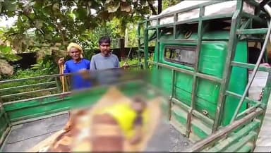 गुमला: कोलपरा घट्ठा में ग्रामीण ने फांसी लगाकर की आत्महत्या, शव को कब्जे में लेकर पुलिस कर रही है छानबीन