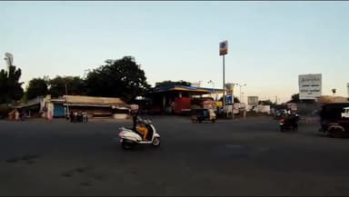 समुद्रपूर: शहरातील जाम चौकात कत्तलीसाठी जाणाऱ्या ३०० शेळ्यांची शहर पोलिसांनी केली सुटका, १५ लाखांच्या शेळ्या जप्त