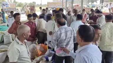 सुसनेर: कृषि उपज मंडी सुसनेर में ₹4325 प्रति क्विंटल के भाव से बीकि सोयाबीन की फसल, 3 हजार बोरी की रही आवक