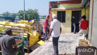 होशंगाबाद नगर: नर्मदापुरम कृषि उपज मंडी स्थित भंडारण केंद्र से यूरिया खाद का हुआ वितरण शुरू 40 टन यूरिया का हुआ वितरण