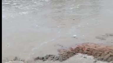 सिलाव: मनियावा गांव के पंचाने नदी में अचानक आया पानी, स्थानीय किसानों में खुशी