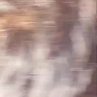 जगाधरी: धरने पर बैठी आशा वर्कर की तबीयत बिगड़ने पर हुई बेहोश अस्पताल में कराया भर्ती विधायक को ज्ञापन देने पहुंची थी आशा वर्कर