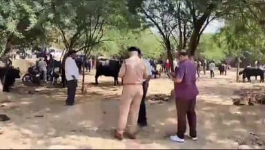 इटावा: सदर तहसील के कामेत गांव में लगे पशु बाजार को SDM सदर ने पुलिस फोर्स के साथ पहुंचकर कराया बंद, आयोजक पर कार्यवाही के आदेश