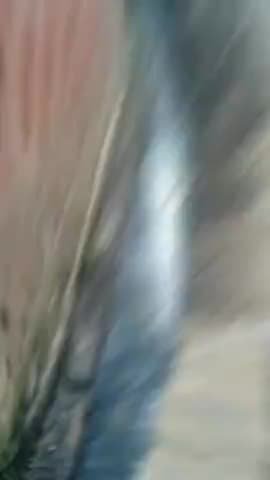 पीलीभीत: Bhogapur gao ki naliya
jaldi se marmmat ki mang
@op.hahakar
#bhogapur
#viralsachnew