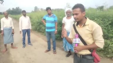 परही मौर्या नइ बस्ती में सड़कों पर खेती करने वालों की संख्या आए दिन बढ़ती जा रही है जिम्मेदार हुए मौन#न्यूज#ताजाअपडेट#🤔