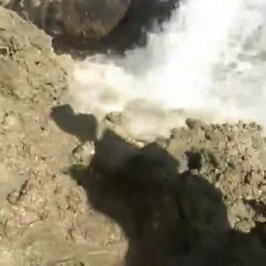 चित्तौड़गढ़: विधानसभा क्षेत्र चित्तौड़गढ़ के 265 गांवों व शहर के लोगों को चंबल परियोजना के तहत दी गई पानी की सौगात, कार्य आदेश जारी