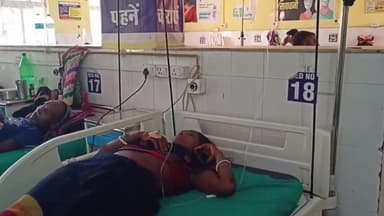 गुमला: कोयनारा महुआटोली में महिला को जहरीले सांप ने डंसा,इलाज के लिए अस्पताल में भर्ती