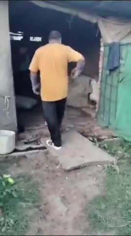 12 साल पुराना 5 फुट से अधिक बड़े कोबरा नाग को पकड़ कर सुरक्षित छोड़ा गया जंगल