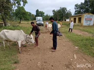 सुकमा: चिंतलनार में पशुधन विकास विभाग के द्वारा चलाया गया रोका छेका अभियान मवेशियों का किया गया टीकाकरण