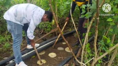 समुद्रपूर: गव्हाकोल्ही पारधी बेड्यावर‌ पोलिसांची धाड, मोहा सडव्याह ८१ हजार रुपये किंमतीचा मुद्देमाल नष्ट