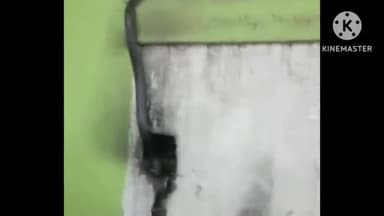 अमरोहा: बिजनौर रोड स्थित दरगाह शाह विलायत में लंगर के दौरान आया भयंकर सांप, मची भगदड़