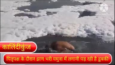 सरिता विहार: दिल्ली के कालिंदीकुंज यमुना में पितृपक्ष के दौरान झाग भरी यमुना में लोगो को लगानी पड़ रही है डुबकी