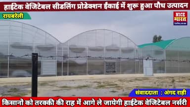रायबरेली : हाईटेक वेजिटेबल नर्सरी में पौध उत्पादन शुरू होने से क्षेत्र के किसानों में खुशी की लहर
