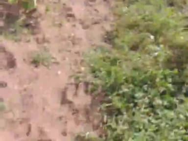 पलेरा: #videoshorts  #videovairal @#