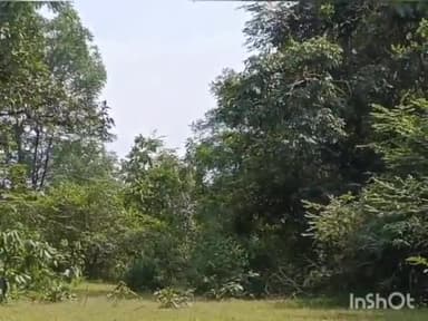 सुकमा: नरसापुरम के जंगलों से नक्सलियों का लगाया आईईडी सुरक्षाबलों ने किया बरामद बड़ी घटना टली