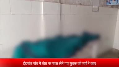 बीसलपुर: ईटगांव में खेत पर घास लेने गए युवक को सांप ने काटा, सीएचसी में इलाज के दौरान हुई मौत