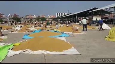 जावरा: जावरा मंडी में सोयाबीन 4600 लहसुन 16000 गेहूं 3200 रुपए अधिकतम भाव रहे