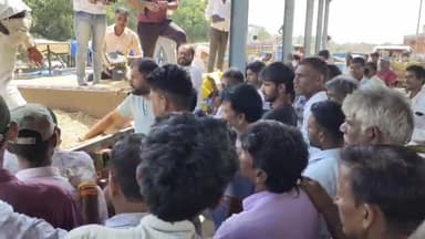 नलखेड़ा: स्थानीय कृषि उपज मंडी में 3000 बोरी उपज की हुई आवक, ₹4301 प्रति क्विंटल के भाव से बिकी सोयाबीन की फसल