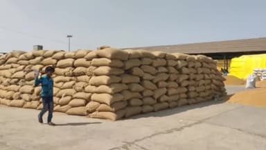 झालरापाटन: बुधवार को झालरापाटन कृषि उपज मंडी में विभिन्न कृषि जिंसों की हुई खरीद, ₹4450 प्रति कुंटल रहा सोयाबीन का अधिकतम भाव